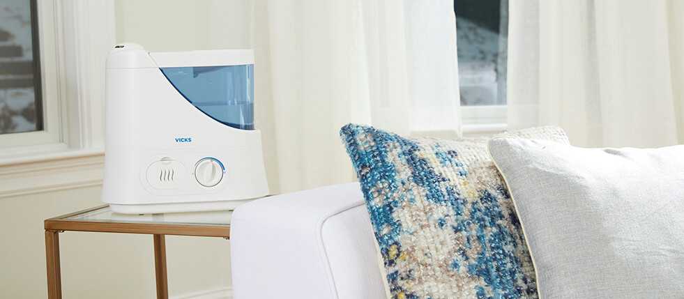 Benefits of Using a Humidifier for Dry Skin